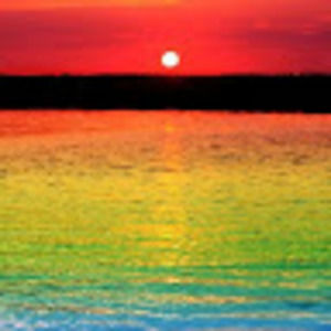 Meet your Posher, Jayla